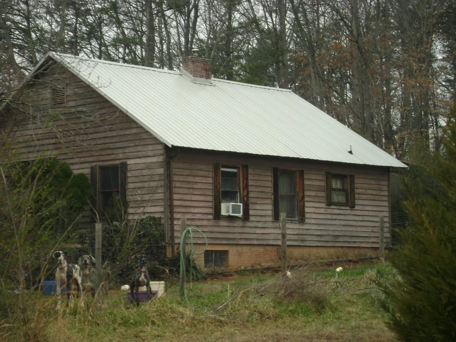White metal roof on an old wood sided farmhouse, from a Asphalt Shingle Roof Repair job in Trego
